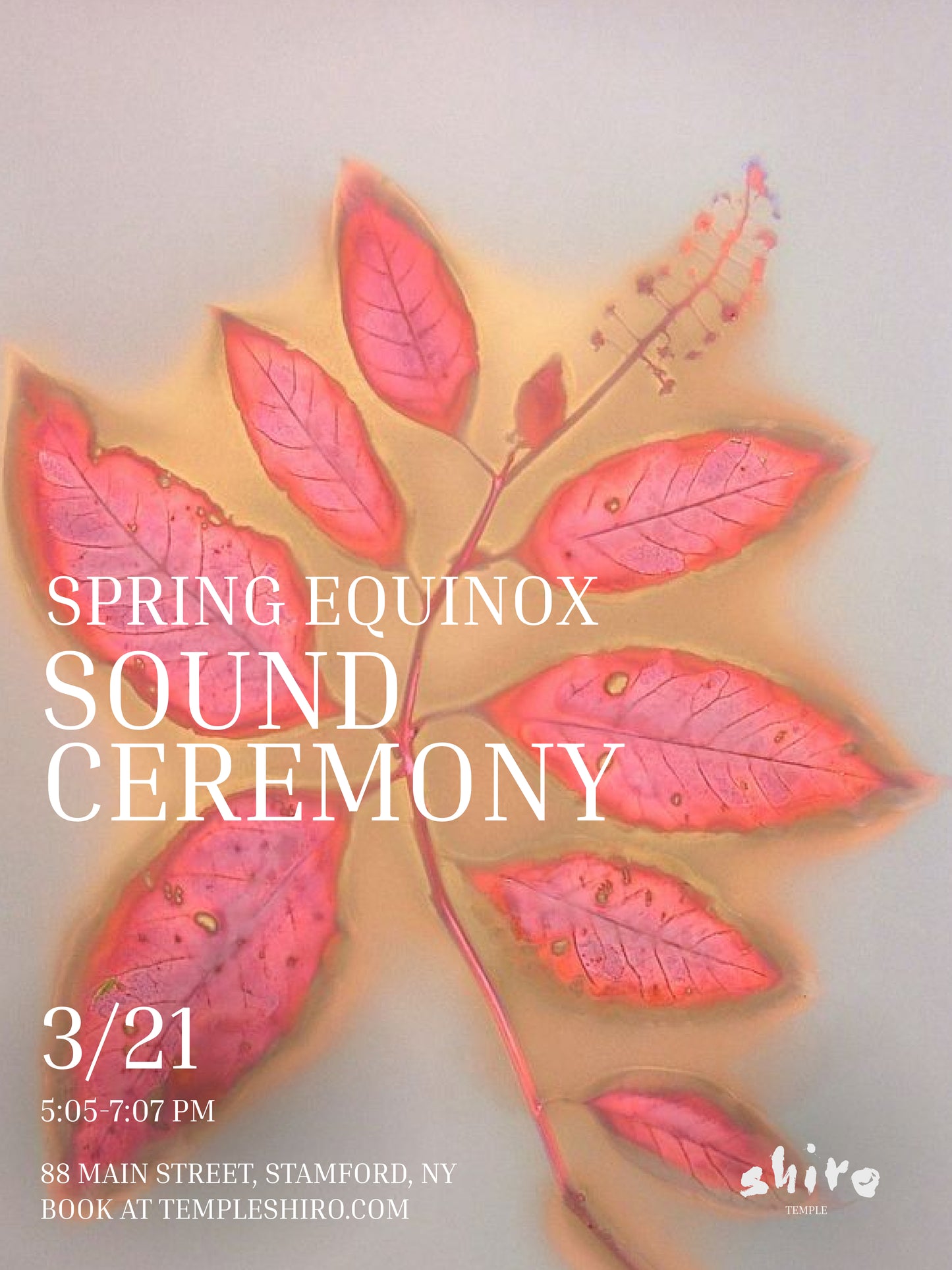 sound ceremony spring equinox 3/21